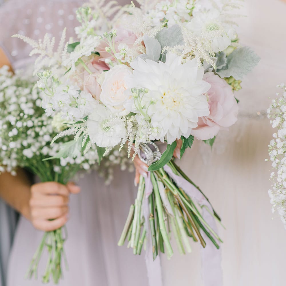 Image by <a href="https://georginaharrisonphotography.co.uk/" target="_blank">Georgina Harrison</a>