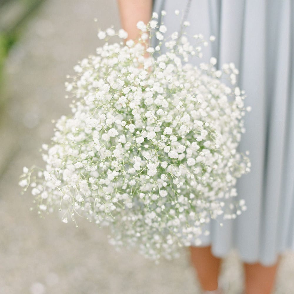 Image by <a href="https://georginaharrisonphotography.co.uk/" target="_blank">Georgina Harrison</a>