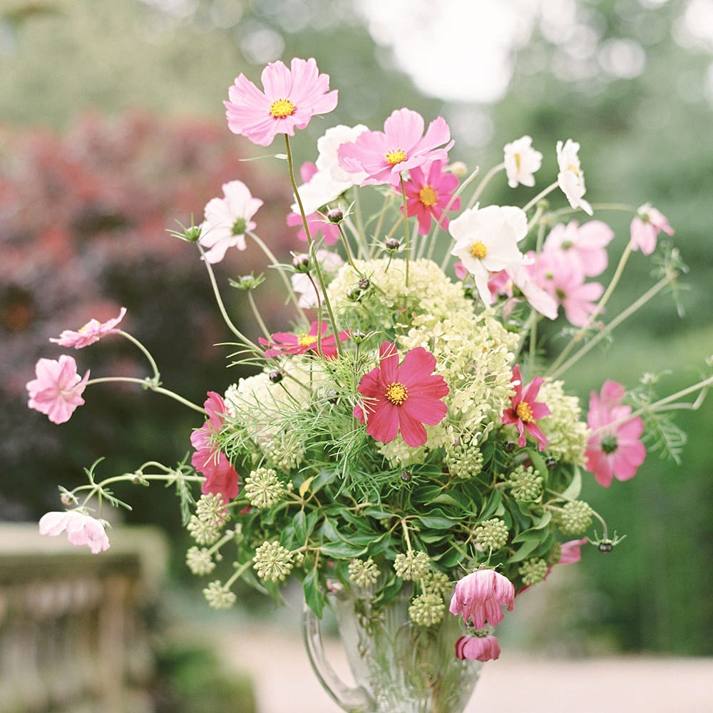 Image by <a href="https://georginaharrisonphotography.co.uk/" target="_blank">Georgina Harrison</a>