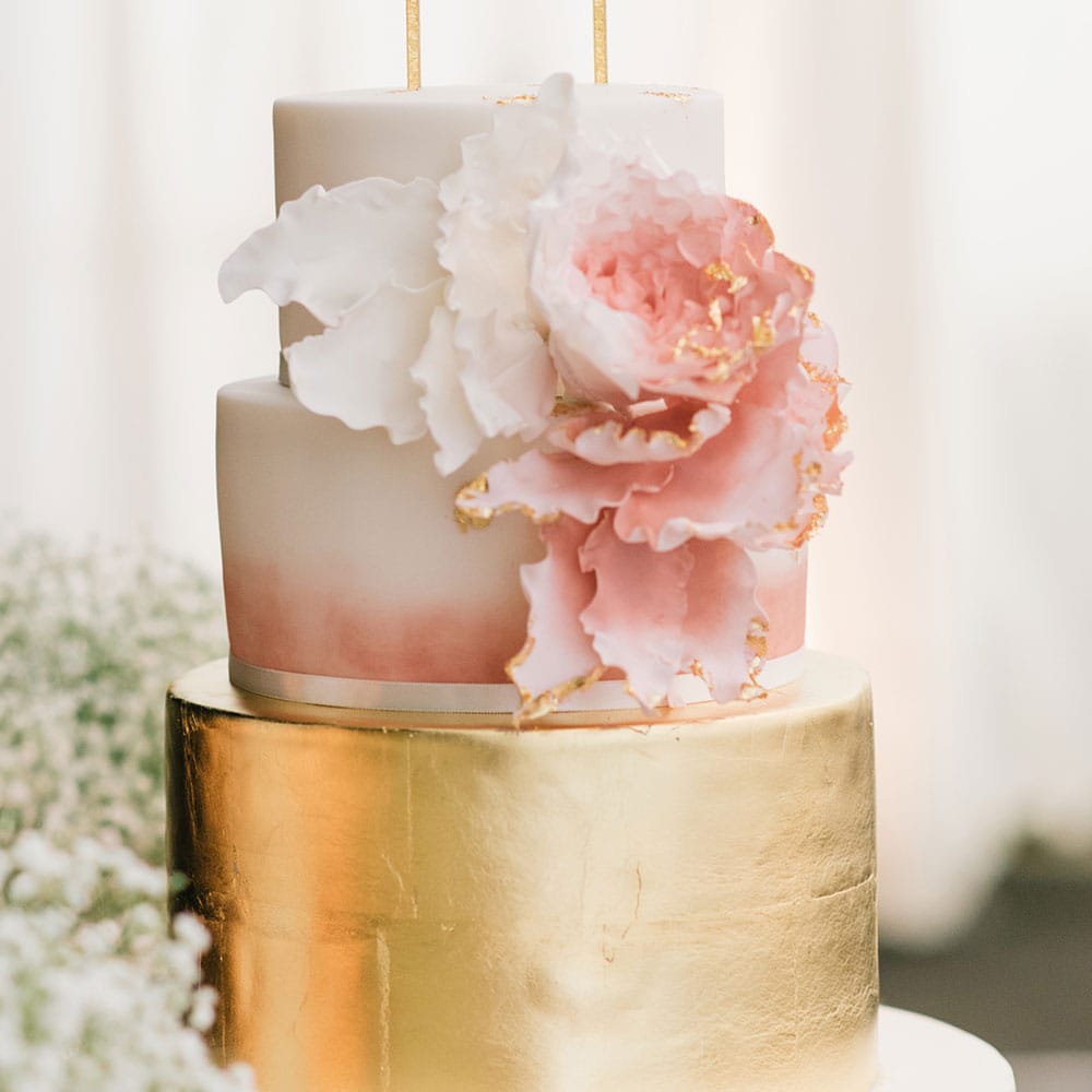 Image by <a href="https://georginaharrisonphotography.co.uk/" target="_blank">Georgina Harrison</a>