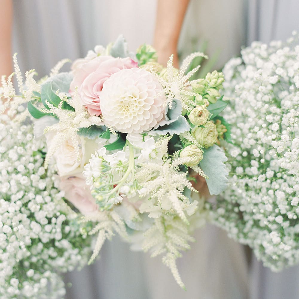 Image by <a href="https://georginaharrisonphotography.co.uk/" target="_blank">Georgina Harrison</a>