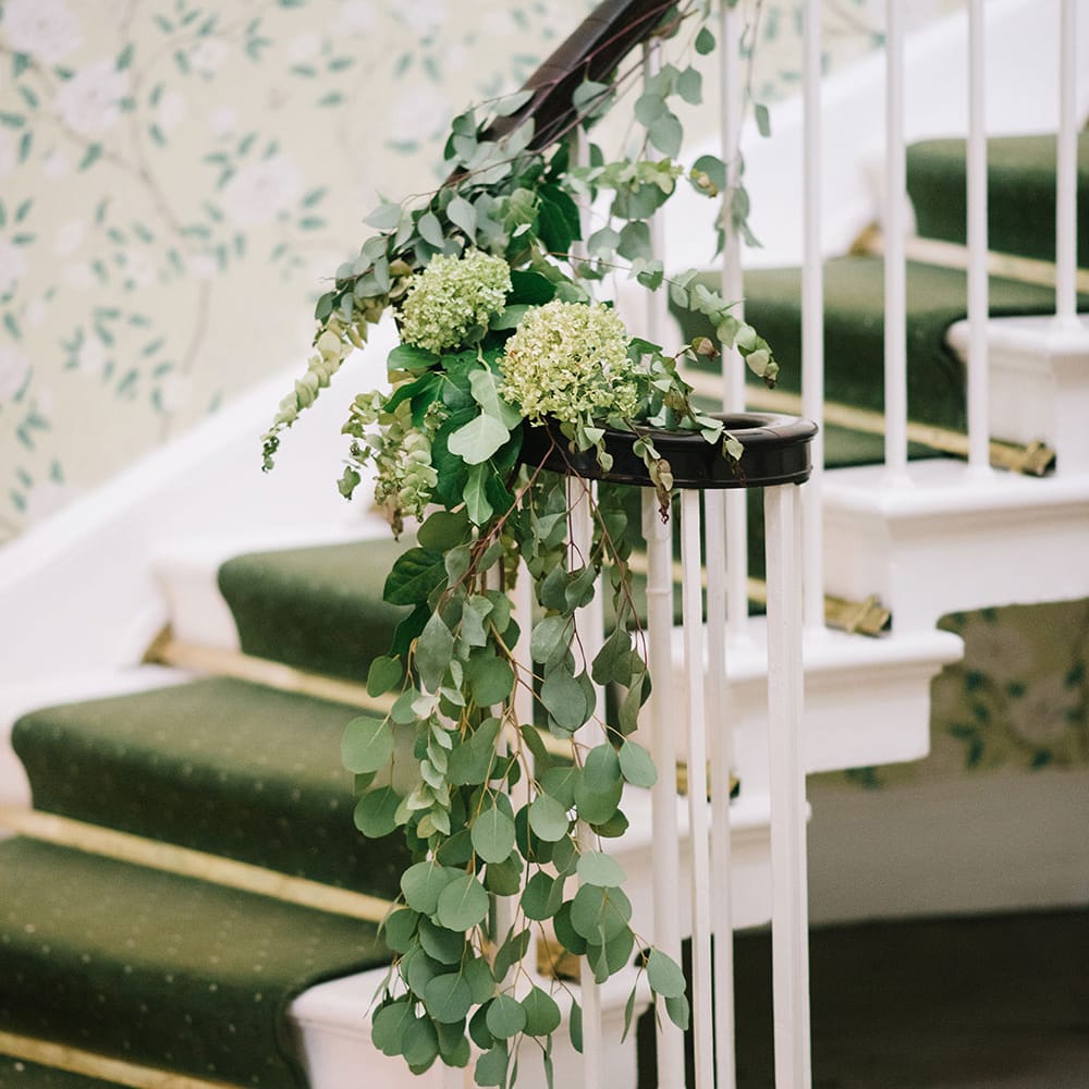 Image by <a href="https://georginaharrisonphotography.co.uk/" target="_blank">Georgina Harrison</a>
