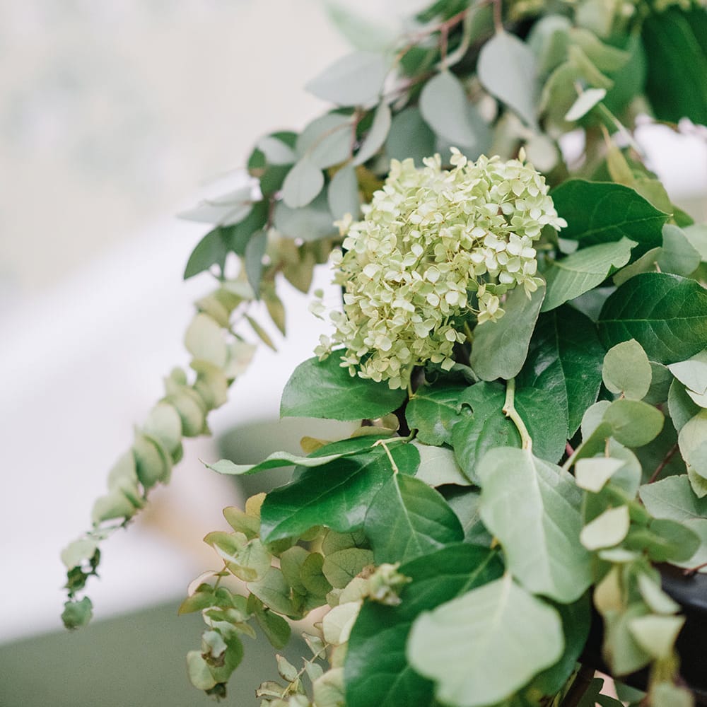 Image by <a href="https://georginaharrisonphotography.co.uk/" target="_blank">Georgina Harrison</a>
