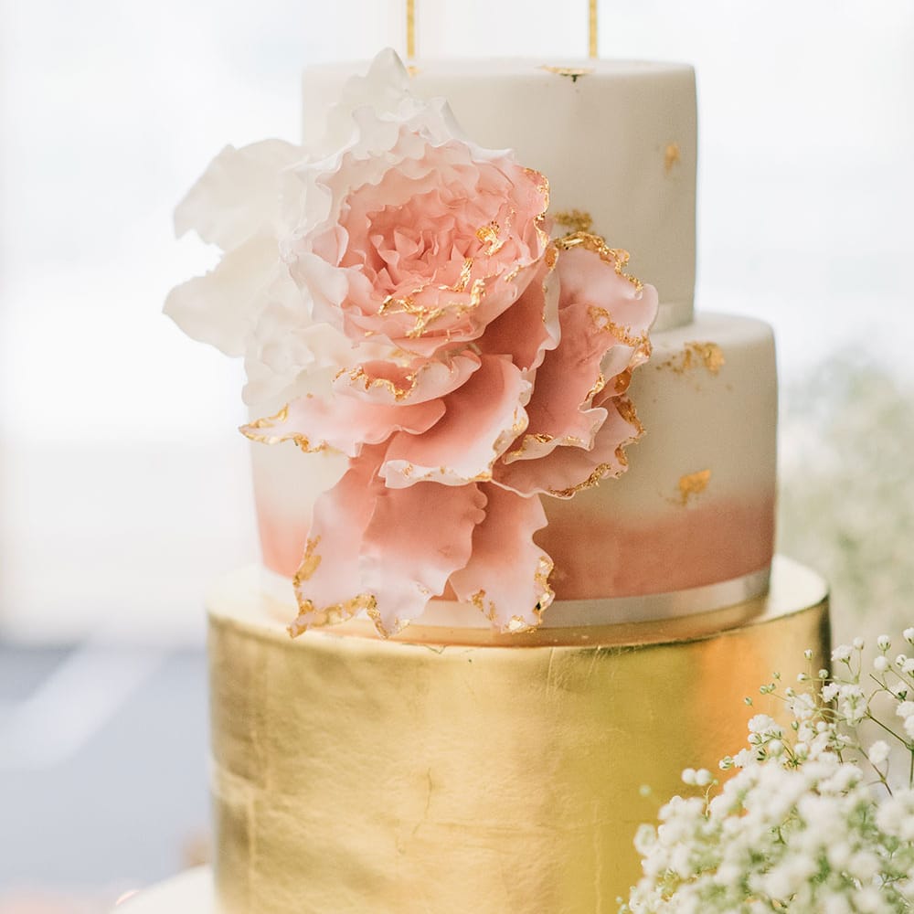 Image by <a href="https://georginaharrisonphotography.co.uk/" target="_blank">Georgina Harrison</a>
