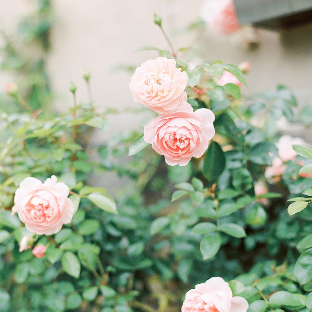 Image by <a href="https://georginaharrisonphotography.co.uk/" target="_blank">Georgina Harrison</a>