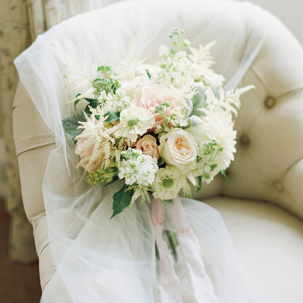 Image by <a href="https://georginaharrisonphotography.co.uk/" target="_blank">Georgina Harrison</a>