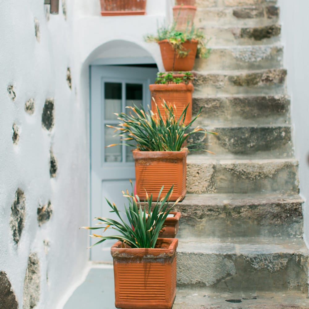 Image by <a href="https://www.annaroussos.com/" target="_blank">Anna Rouses Photography</a>