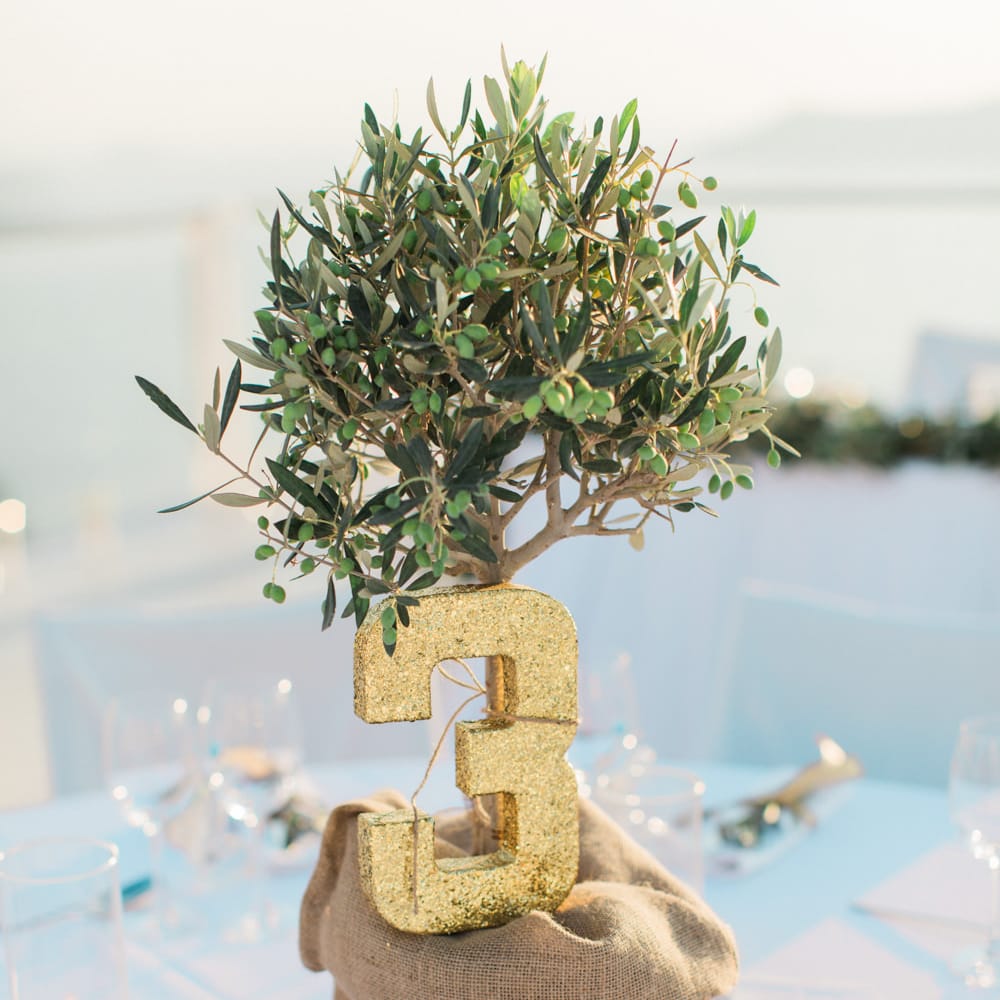 Image by <a href="https://www.annaroussos.com/" target="_blank">Anna Rouses Photography</a>