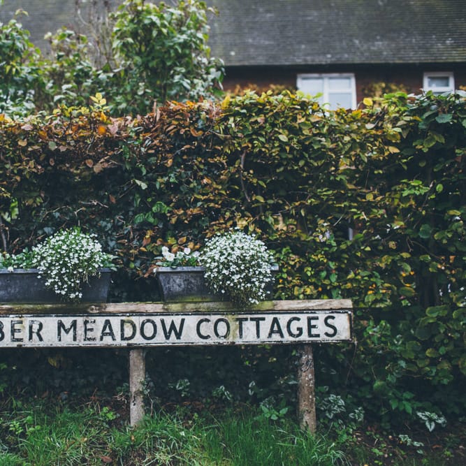 Image by <a href="https://www.matthoranphotography.com" target="_blank">Matthew Horan Photography</a>