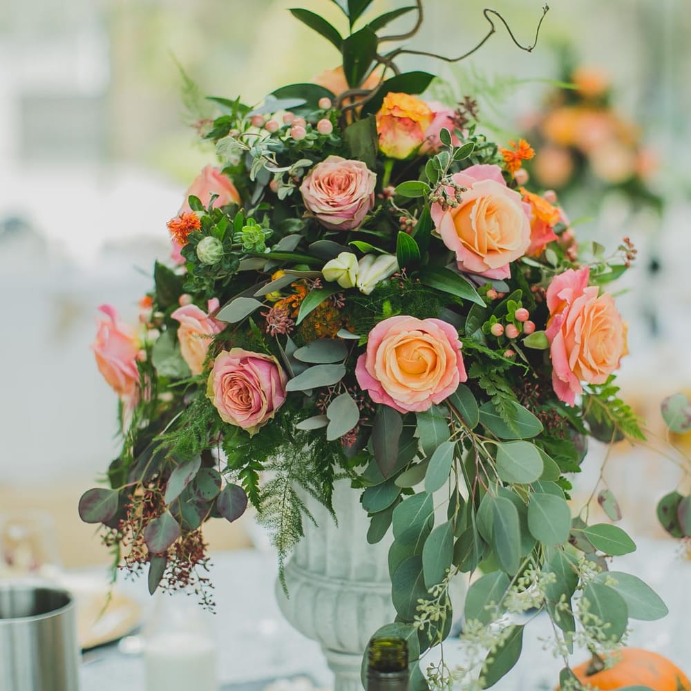 Image by <a href="https://www.nicolaphotography.co.uk" target="_blank">Nicola Denby Photography</a>