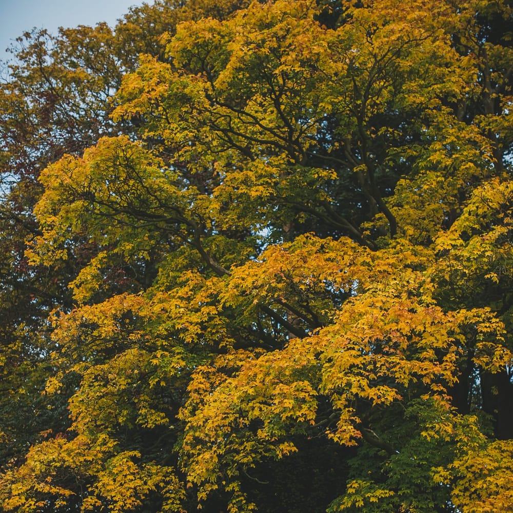 Image by <a href="https://www.nicolaphotography.co.uk" target="_blank">Nicola Denby Photography</a>
