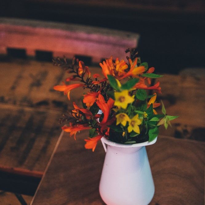 Image by <a href="https://nicolathompsonphotography.co.uk" target="_blank">Nicola Thompson Photography</a>