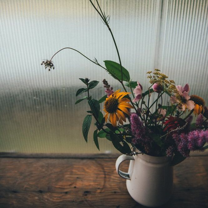 Image by <a href="https://nicolathompsonphotography.co.uk" target="_blank">Nicola Thompson Photography</a>