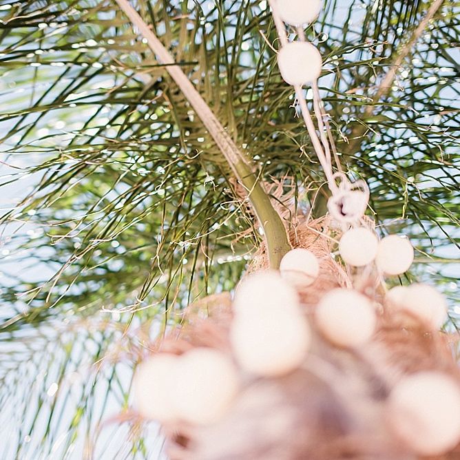 Images by <a href="https://www.fayecornhillphotography.co.uk" target="_blank">Faye Cornhill Photography</a>