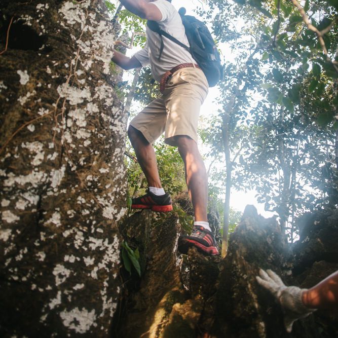 Four Seasons Langkawi - Rainforrest Trek