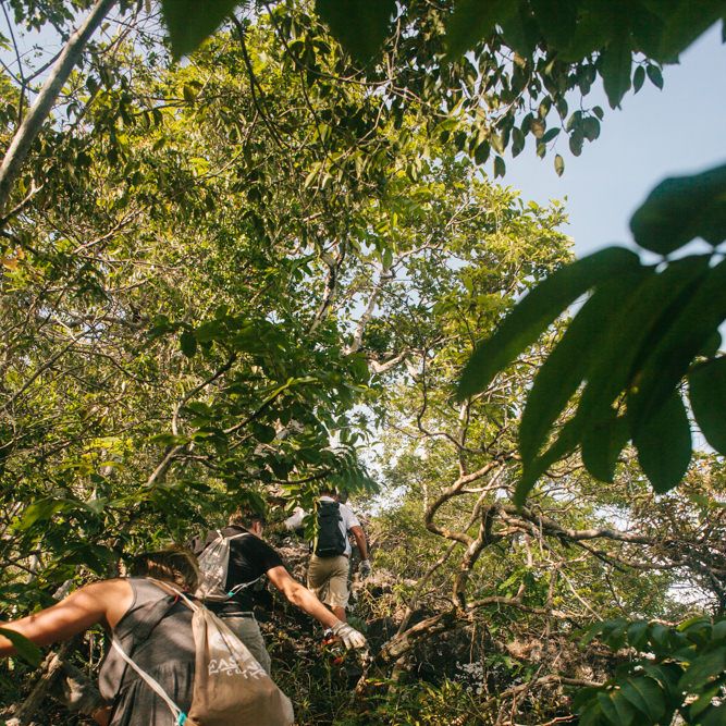 Four Seasons Langkawi - Rainforrest Trek