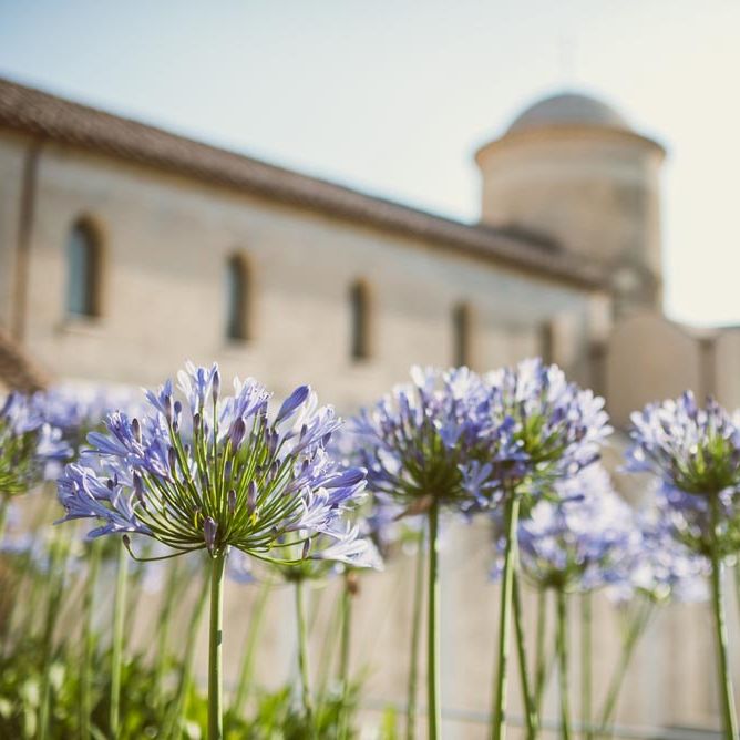 Image by <a href="https://www.giuliegiordi.com/" target="_blank">Giuli & Giordi</a>