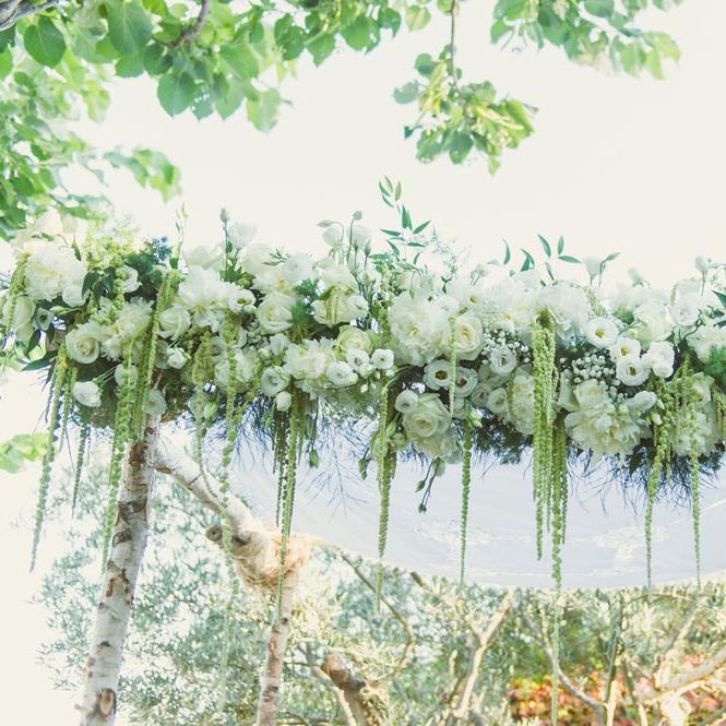 Image by <a href="https://www.giuliegiordi.com/" target="_blank">Giuli & Giordi</a>