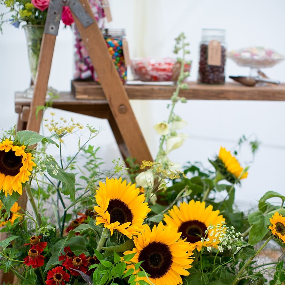 Image by <a href="https://www.katherineashdown.co.uk/" target="_blank">Katherine Ashdown Photography</a>