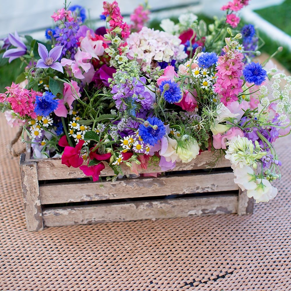 Image by <a href="https://www.katherineashdown.co.uk/" target="_blank">Katherine Ashdown Photography</a>