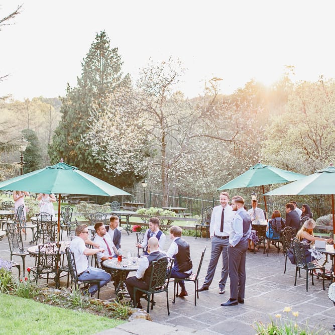 Wedding Guests