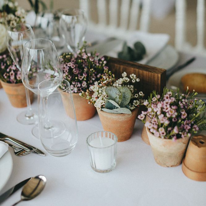 Potted Plants Table Centrepieces