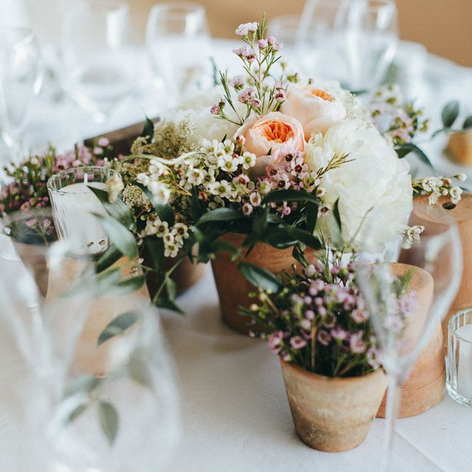 Potted Plants Table Centrepieces