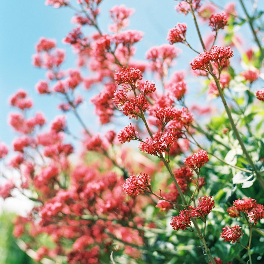 Image by <a href="https://www.annkathrinkoch.com" target="_blank">Ann Kathrin Koch Photography</a>
