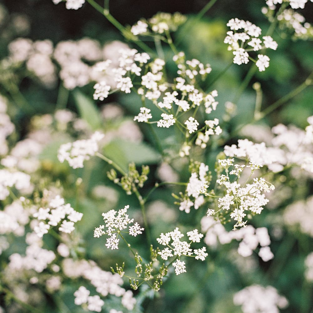 Image by <a href="https://www.annkathrinkoch.com" target="_blank">Ann Kathrin Koch Photography</a>