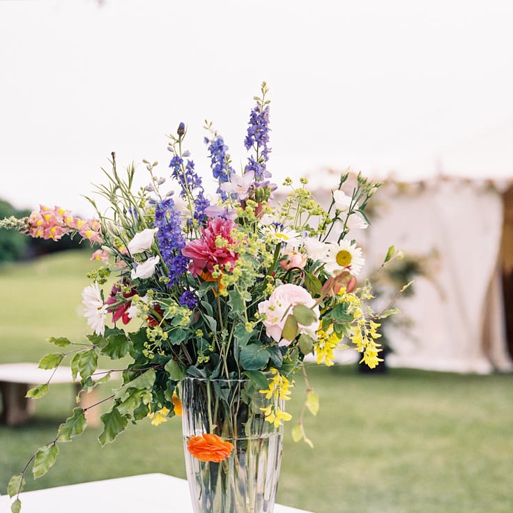 Image by <a href="https://www.annkathrinkoch.com" target="_blank">Ann Kathrin Koch Photography</a>