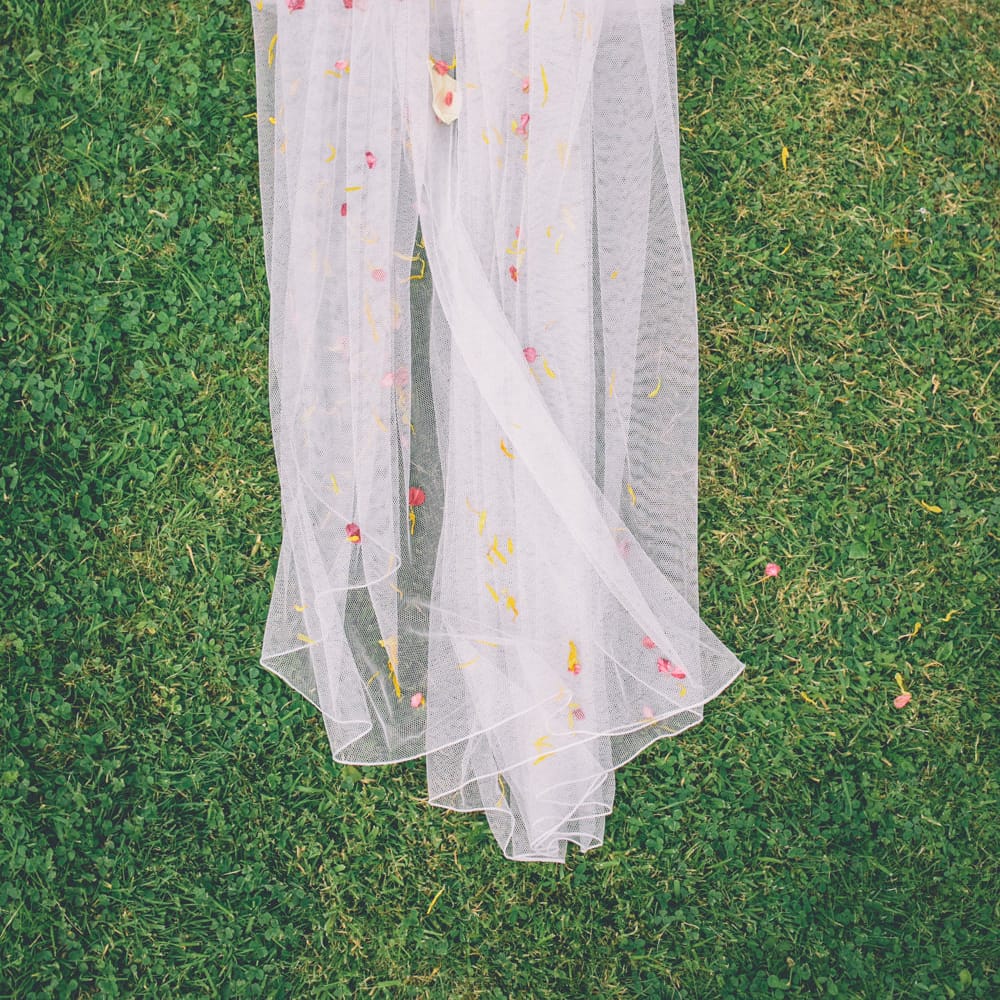 Image by <a href="https://storyandcolour.co.uk/" target="_blank">Story and Colour</a>