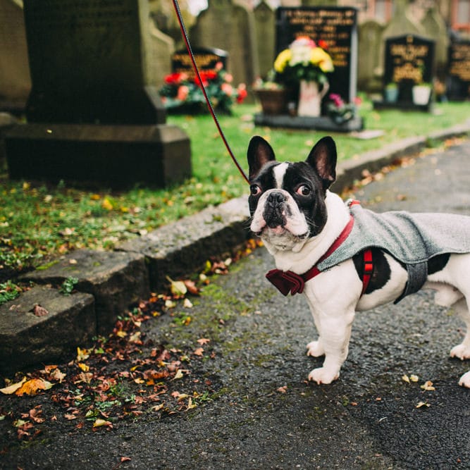 Image by <a href="https://www.lawsonphotography.co.uk/" target="_blank">Lawson Photography</a>