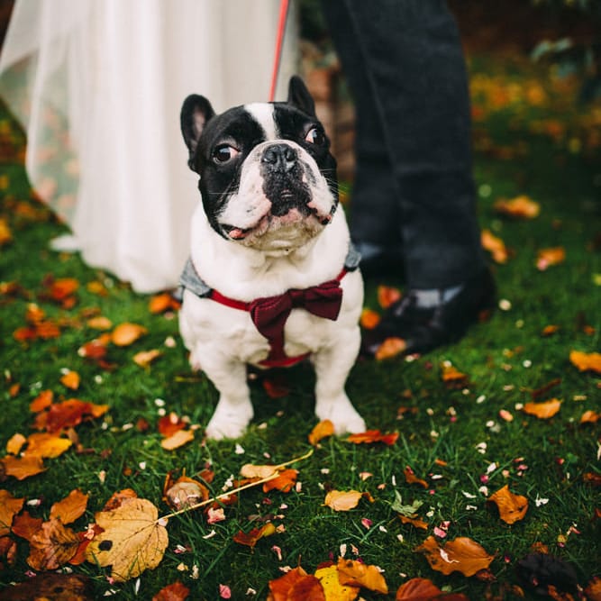 Image by <a href="https://www.lawsonphotography.co.uk/" target="_blank">Lawson Photography</a>