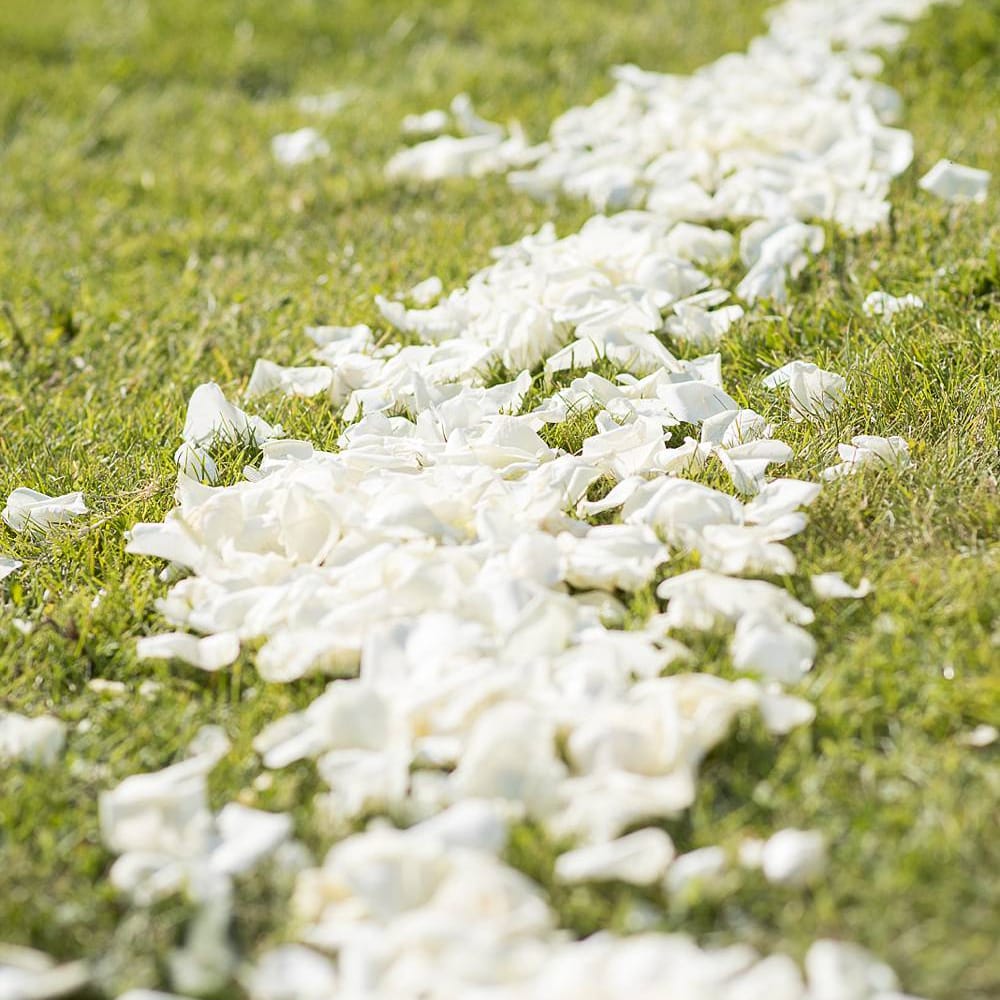 Image by <a href="https://www.fionasweddingphotography.co.uk" target="_blank">Fiona Kelly Photography</a>
