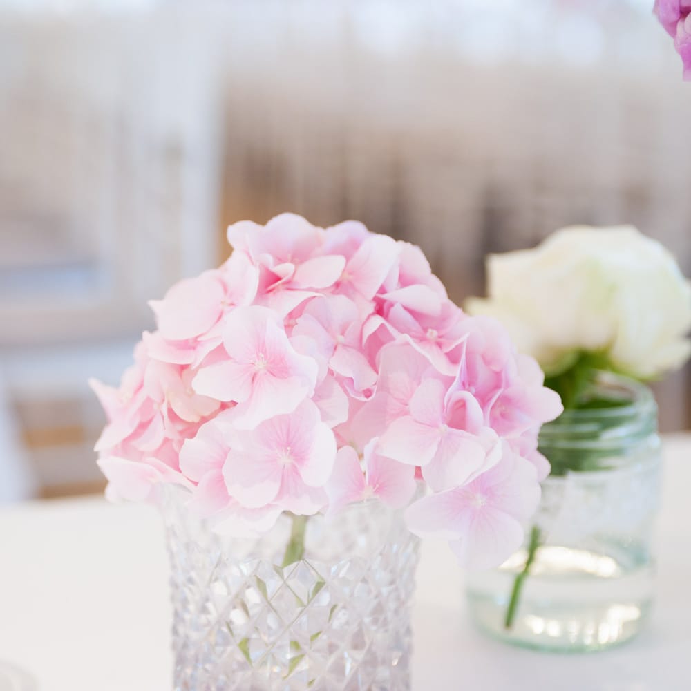 Image by <a href="https://www.source images.co.uk" target="_blank">Source Images</a>