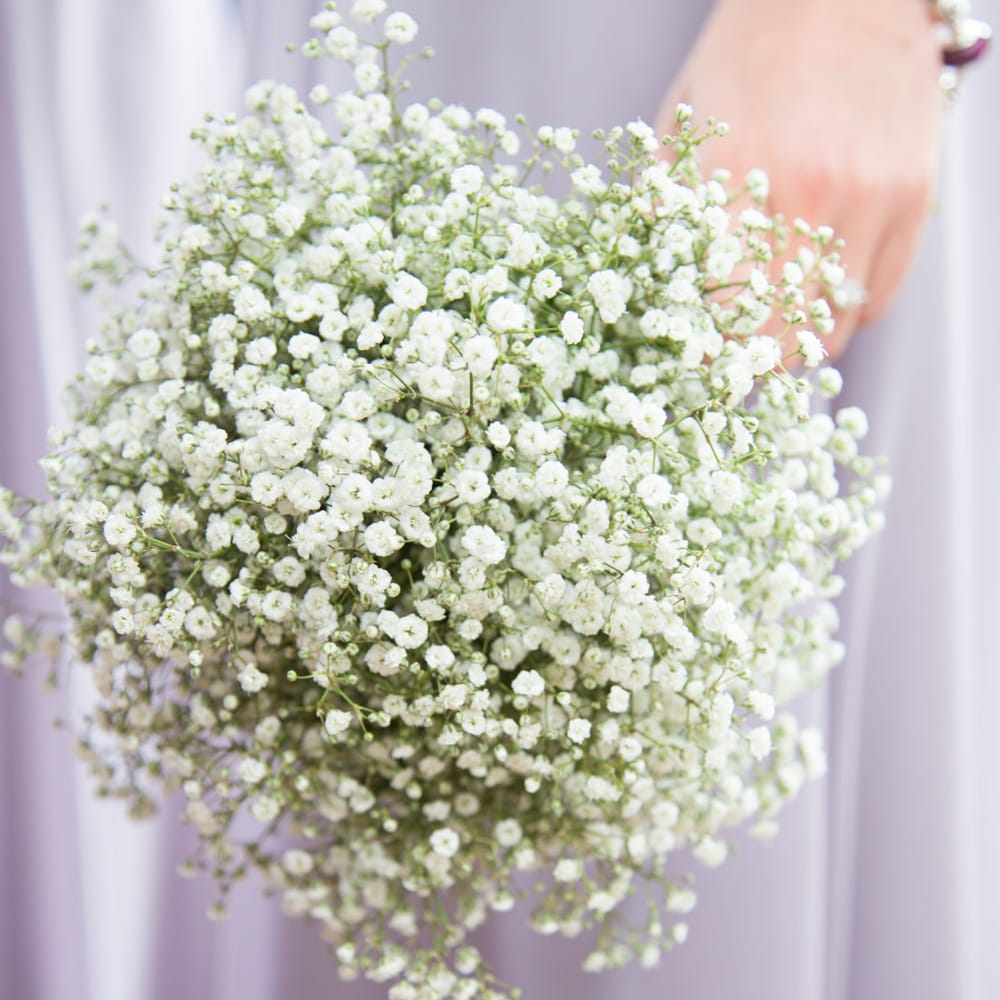 Image by <a href="https://www.source images.co.uk" target="_blank">Source Images</a>