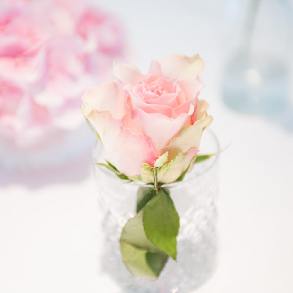 Image by <a href="https://www.source images.co.uk" target="_blank">Source Images</a>