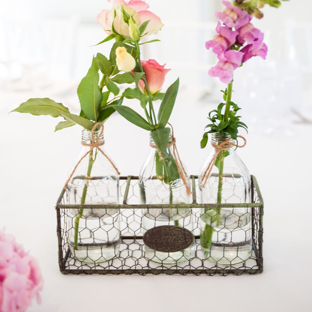 Image by <a href="https://www.source images.co.uk" target="_blank">Source Images</a>