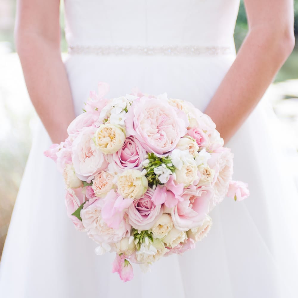 Image by <a href="https://www.source images.co.uk" target="_blank">Source Images</a>