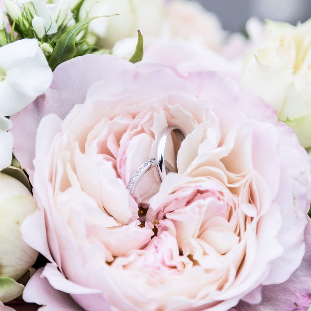 Image by <a href="https://www.source images.co.uk" target="_blank">Source Images</a>