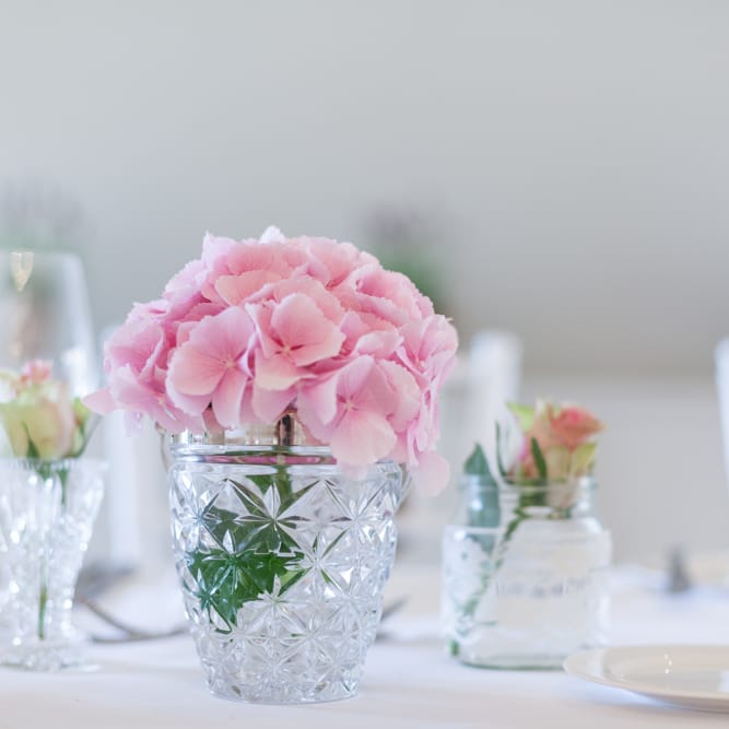 Image by <a href="https://www.source images.co.uk" target="_blank">Source Images</a>