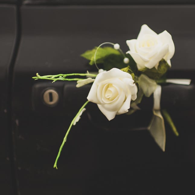 White Roses