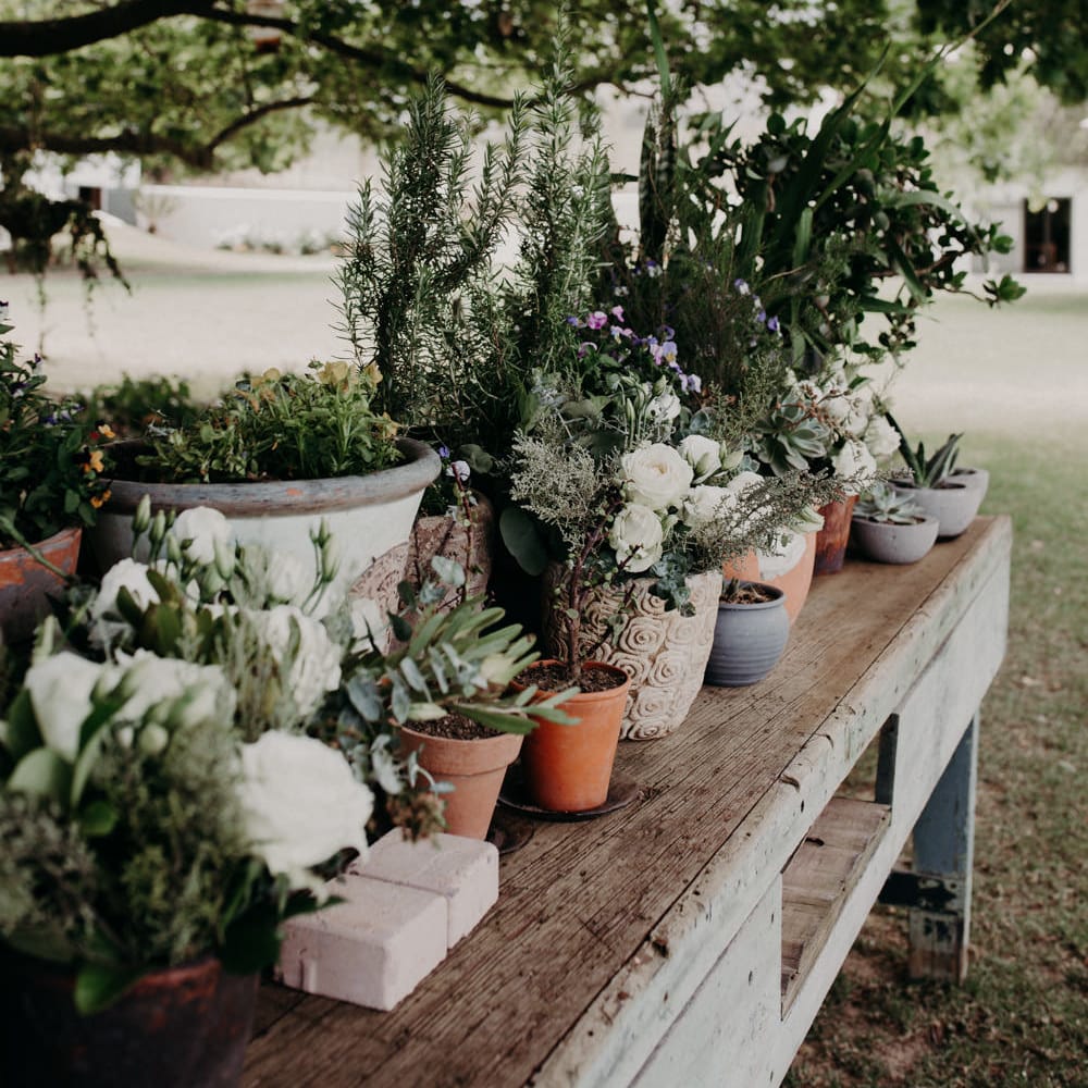 Potted Plants & Flowers Wedding Decor | Stylish Outdoor Wedding at The Oaks Estate, Greyton, South Africa | Fiona Clair Photography | Ebert Steyn Films