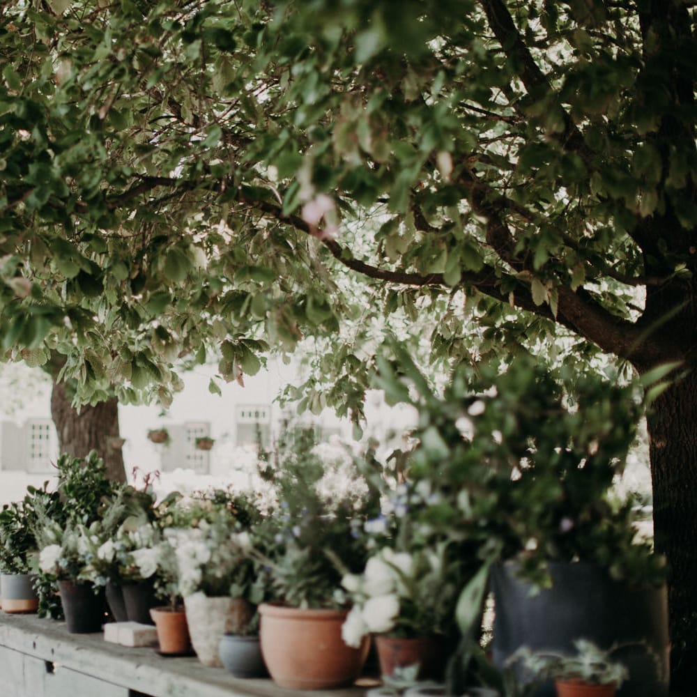Wedding Entertainment | Stylish Outdoor Wedding at The Oaks Estate, Greyton, South Africa | Fiona Clair Photography | Ebert Steyn Films
