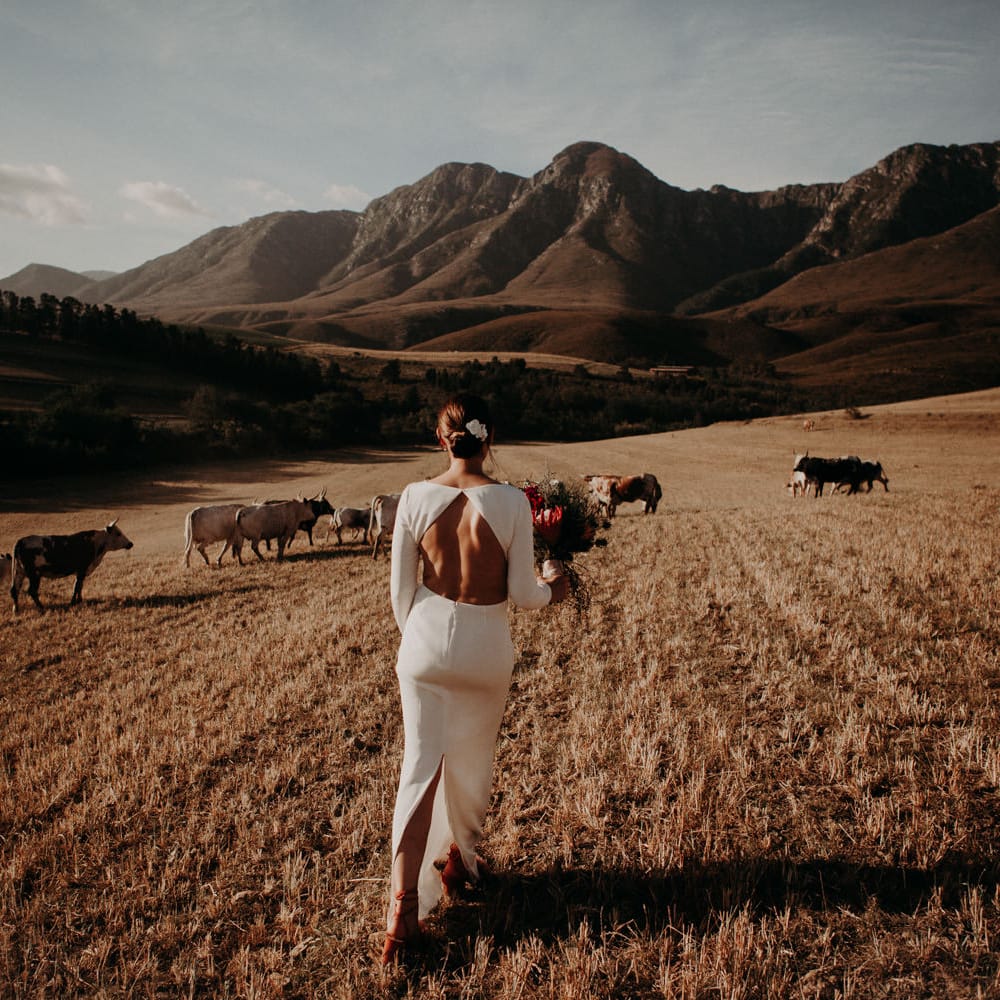 Bride in Houghton NYC Bridal Gown | Stylish Outdoor Wedding at The Oaks Estate, Greyton, South Africa | Fiona Clair Photography | Ebert Steyn Films