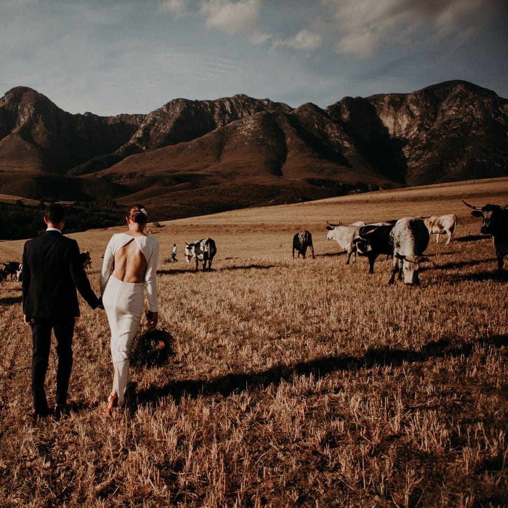 Bride in Houghton NYC Bridal Gown | Groom in Armani Suit | Stylish Outdoor Wedding at The Oaks Estate, Greyton, South Africa | Fiona Clair Photography | Ebert Steyn Films