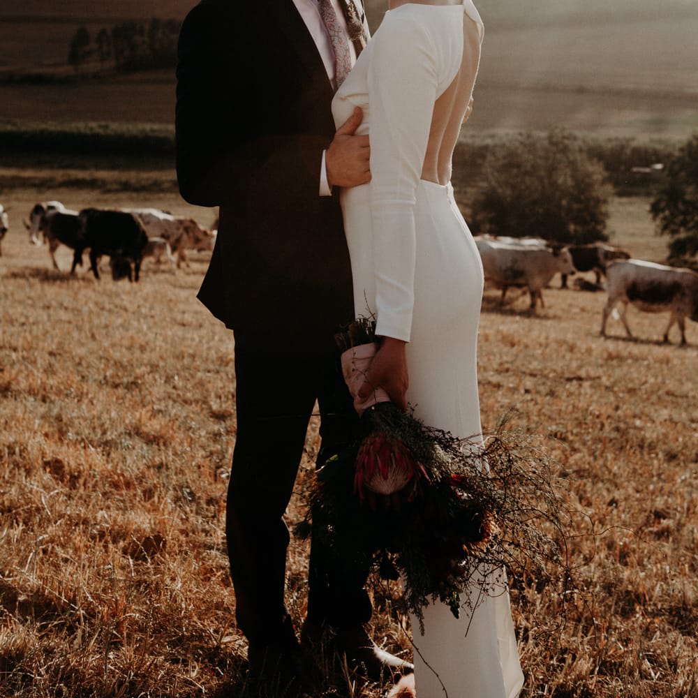 Bride in Houghton NYC Bridal Gown | Groom in Armani Suit | Stylish Outdoor Wedding at The Oaks Estate, Greyton, South Africa | Fiona Clair Photography | Ebert Steyn Films