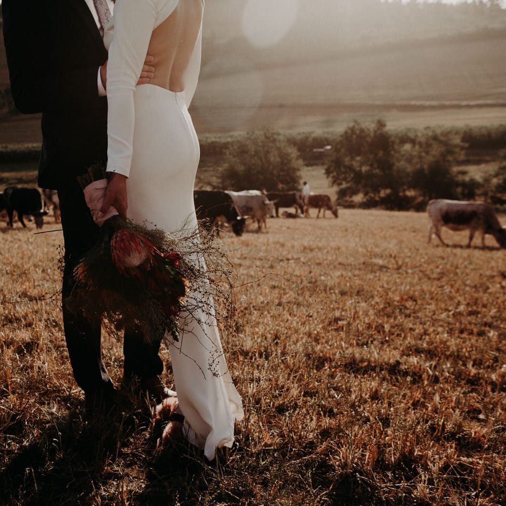 Protea Wedding Bouquet | Bride in Houghton NYC Bridal Gown | Groom in Armani Suit | Stylish Outdoor Wedding at The Oaks Estate, Greyton, South Africa | Fiona Clair Photography | Ebert Steyn FilmsBride in Houghton NYC Bridal Gown | Groom in Armani Suit | Stylish Outdoor Wedding at The Oaks Estate, Greyton, South Africa | Fiona Clair Photography | Ebert Steyn Films