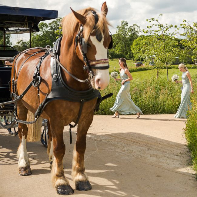 Horse and Carriage | Rustic Soho Farmhouse Ceremony with PapaKata Sperry Tent Greenery filled Reception | Marianne Taylor Photography | Will Warr Films