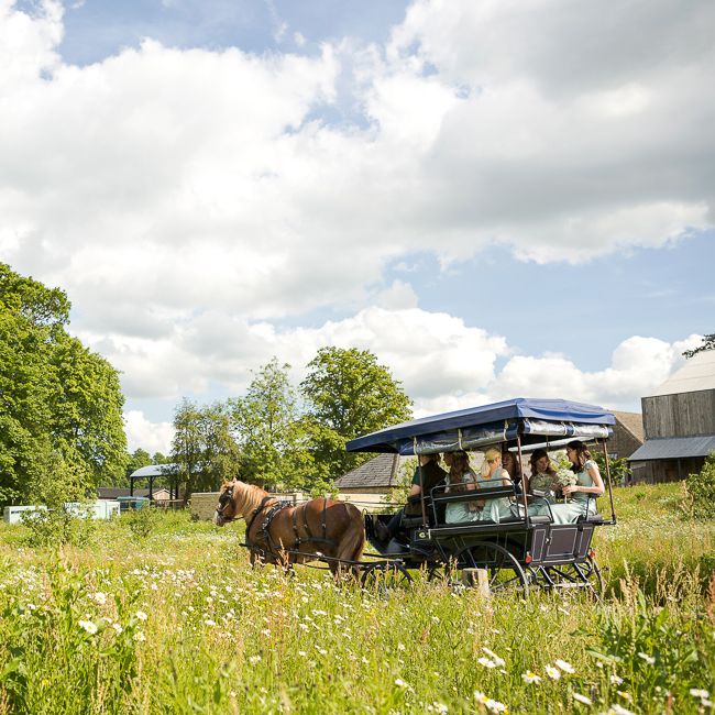 Horse & Carriage | Rustic Soho Farmhouse Ceremony with PapaKata Sperry Tent Greenery filled Reception | Marianne Taylor Photography | Will Warr Films